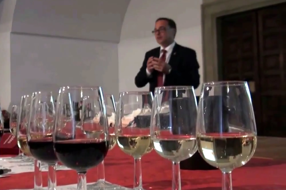 Degustazione guidata All rights reserved - © Borgo DiVino