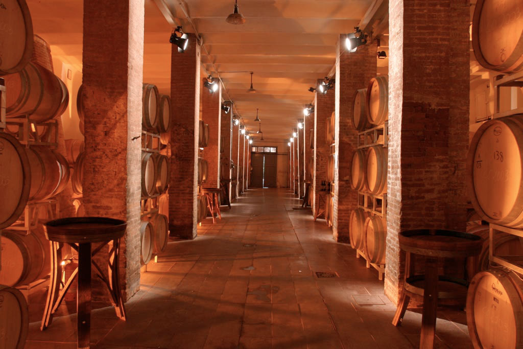 © Tenuta di Capezzana