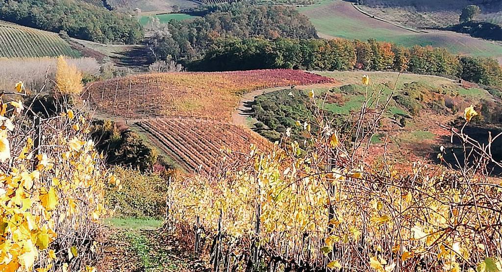 Sunrosè 2018 - Il Palagione