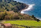 Paestum 2018 - Agricola San Giovanni