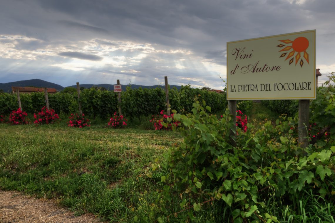 Vigna delle Rose 2017 - La Pietra del Focolare