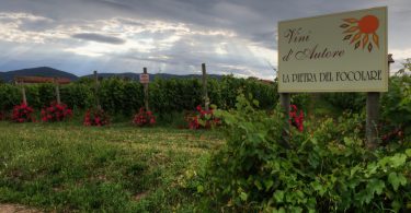 Vigna delle Rose 2017 - La Pietra del Focolare