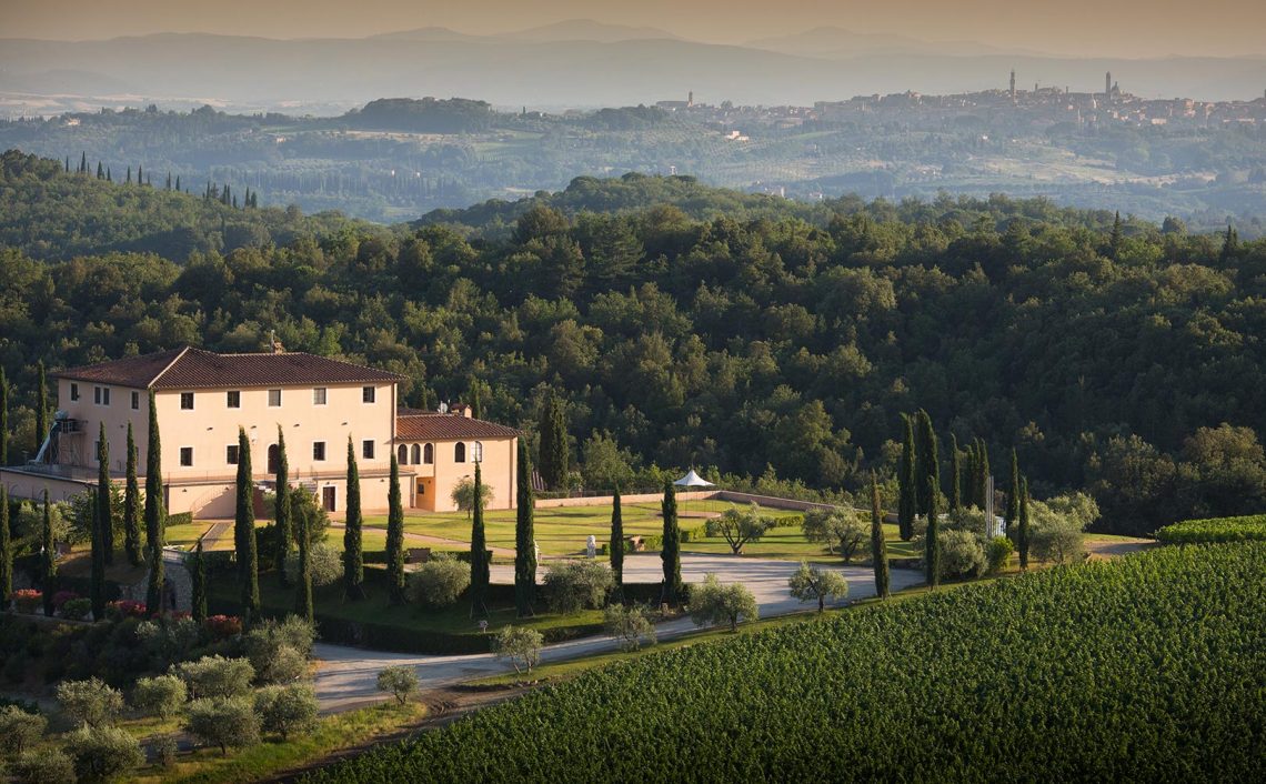 Valdisanti 2014 - Tolaini