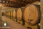 Brunello di Montalcino 2014 - Capanna