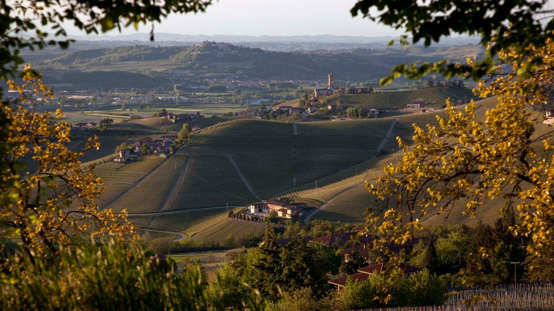 Sauvignon 2018 - Tenute Cisa Asinari dei Marchesi di Grésy