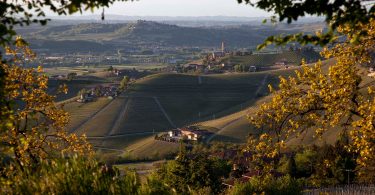 Sauvignon 2018 - Tenute Cisa Asinari dei Marchesi di Grésy