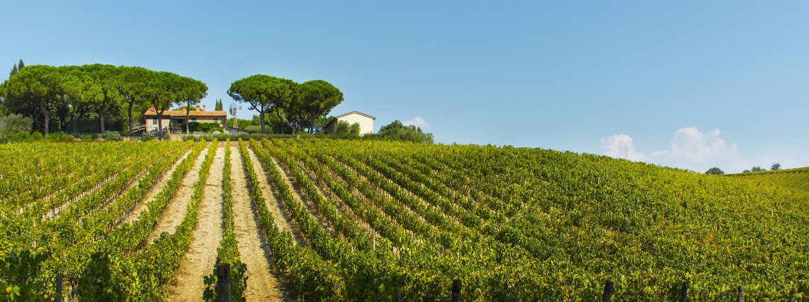 Perenzo 2016 - Fattoria di Magliano