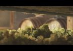 Inganno Felice 2018 - Fattoria Piccaratico