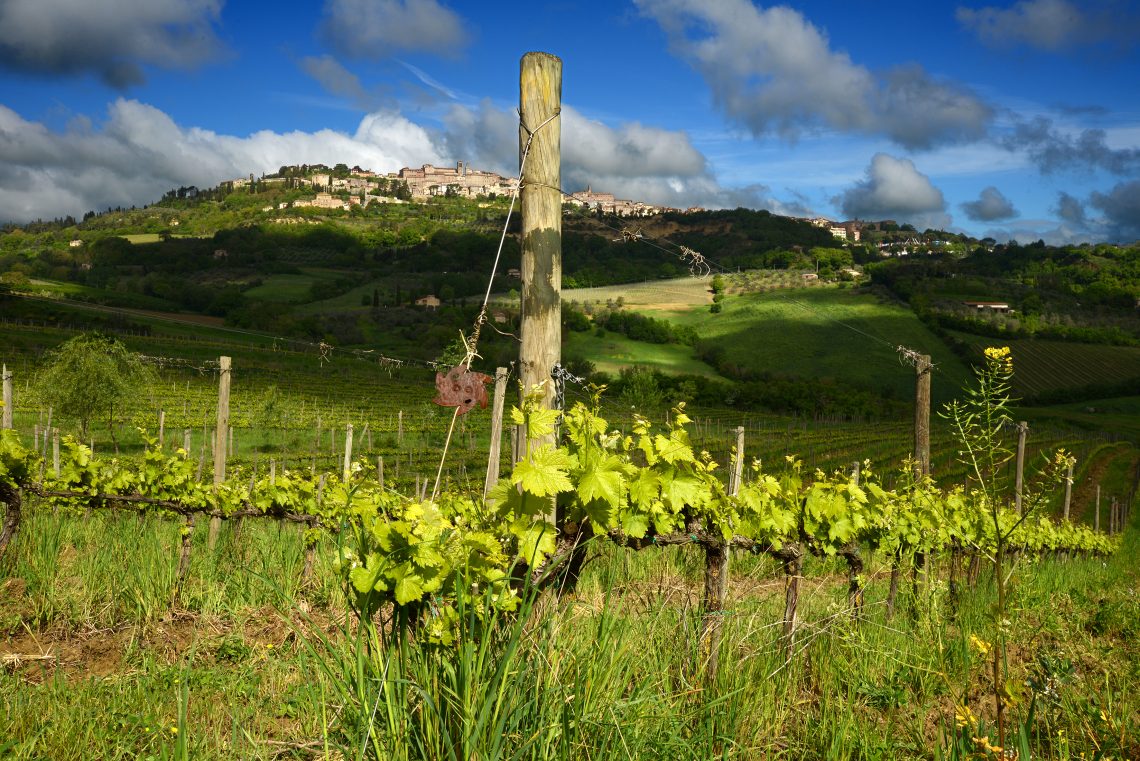 Nobile di Montepulciano 2017 - Salcheto