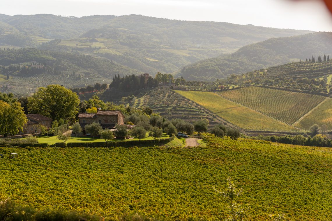 Cabernet Franc 2016 - Vignamaggio