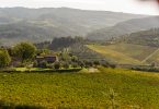 Cabernet Franc 2016 - Vignamaggio