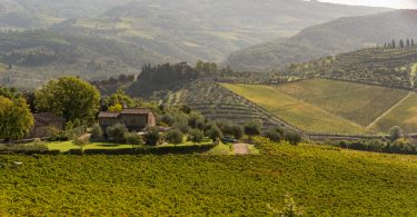 Cabernet Franc 2016 - Vignamaggio
