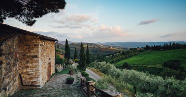 Chianti Classico 2017 - Vecchie Terre di Montefili