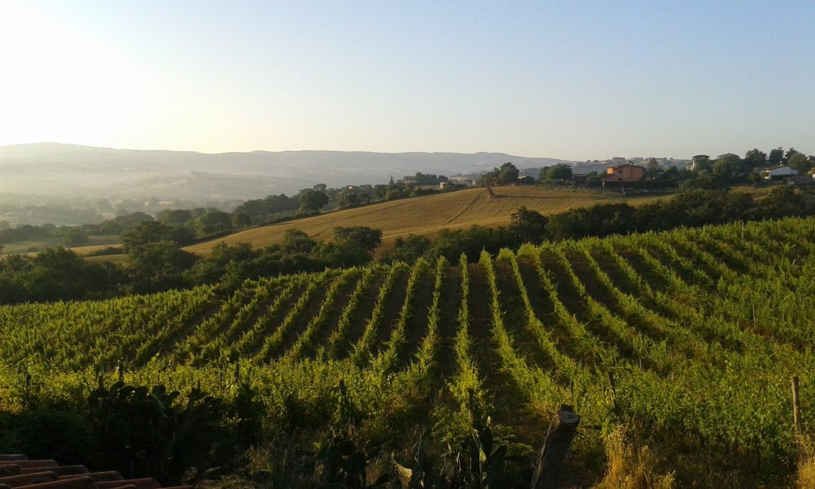 Sempre 2019 - Podere Casina