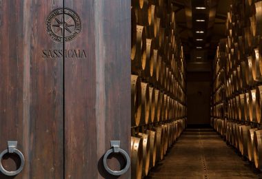 Guida (Di)Vino - Tenuta San Guido - Toscana