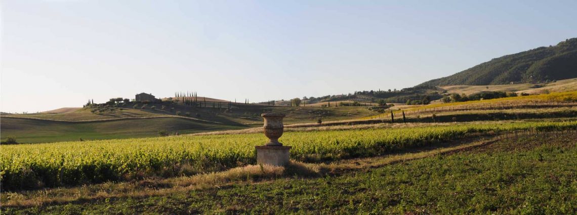 Tenuta di Trinoro