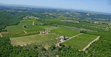 Vin Santo del Chianti Classico Riserva 2010 - I Sodi