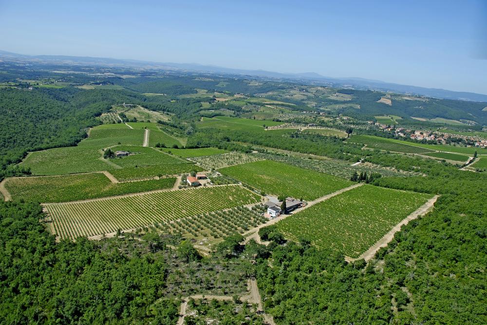 Vin Santo del Chianti Classico Riserva 2010 - I Sodi