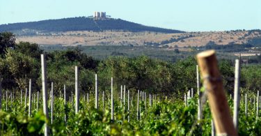 © Giancarlo Ceci - Puglia