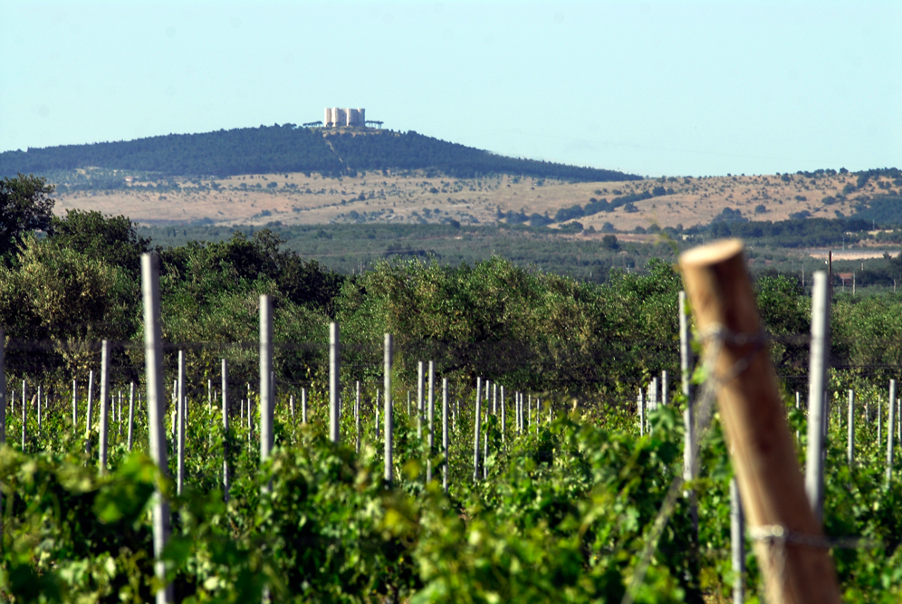 © Giancarlo Ceci - Puglia