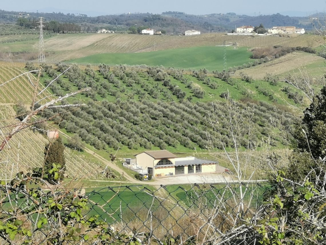 Colle de' Fossili 2017 - Fattoria Piccaratico