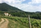 Aegidius Vintage 2017 - Cantine Bondonor