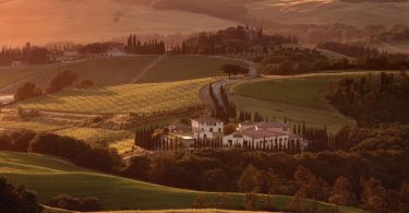 Rosso di Montalcino 2019 - Caparzo