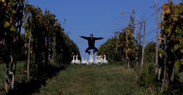 Chianti Classico 2017 - Casa Emma