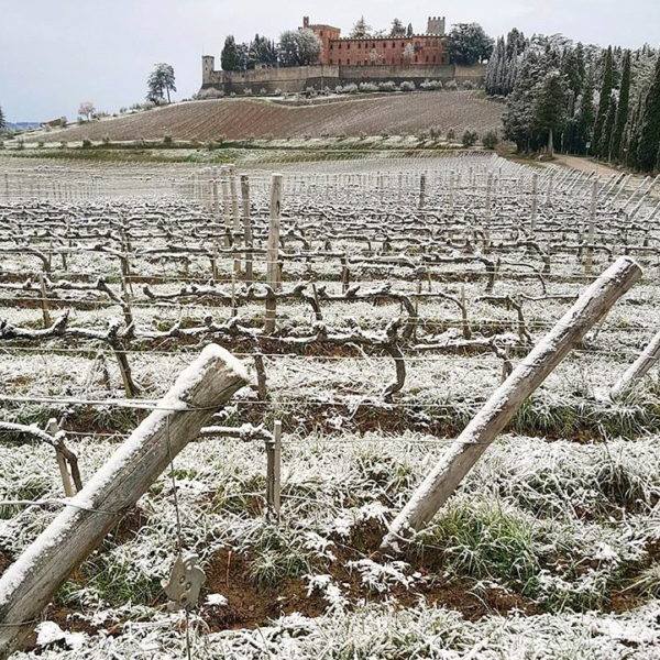 Chianti Classico Brolio Riserva 2017 - Ricasoli 1141