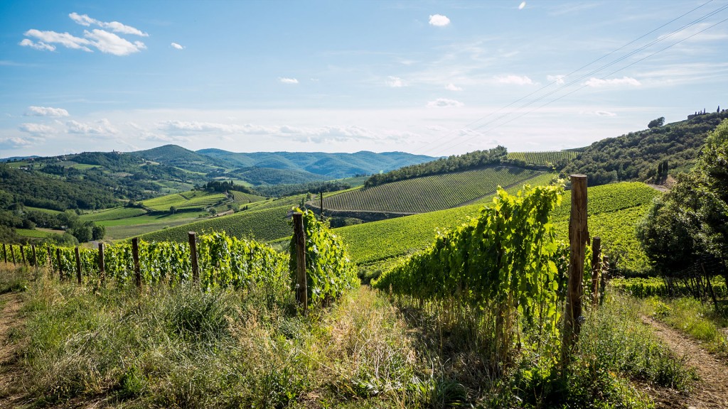 Chianti Classico 2017 - Poggerino