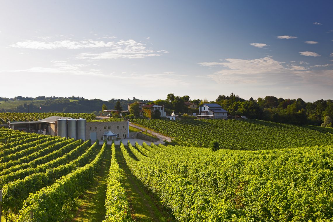 Conegliano Valdobbiadene Prosecco Superiore Brut 2018 - Vincenzo Toffoli