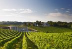 Conegliano Valdobbiadene Prosecco Superiore Brut 2018 - Vincenzo Toffoli