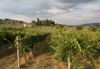 Voce alla Terra 2016 - Fattoria di Poggiopiano