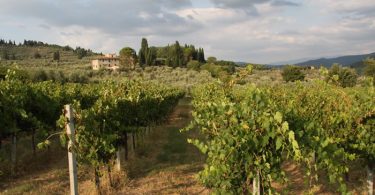 Voce alla Terra 2016 - Fattoria di Poggiopiano