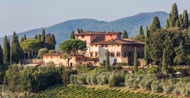 Terre di Prenzano 2017 - Vignamaggio