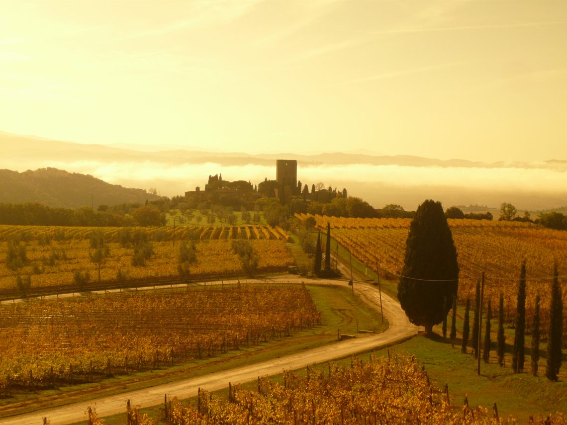 Brunello di Montalcino 2015 - Sesti