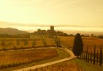 Brunello di Montalcino 2015 - Sesti