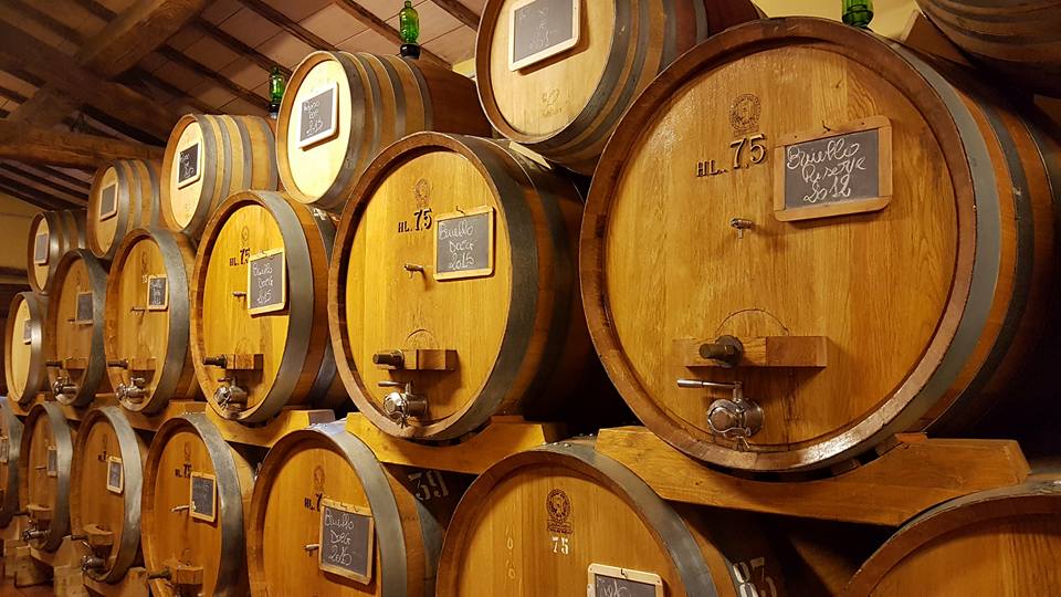 Rosso di Montalcino 2018 - Sesti