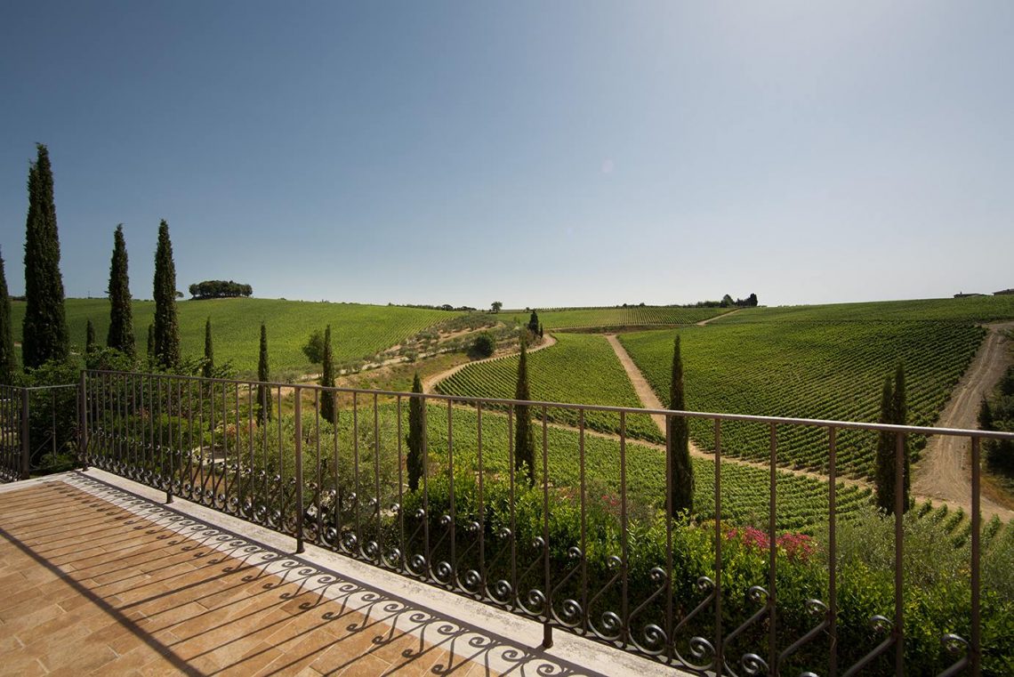 Chianti Classico Gran Selezione 2015