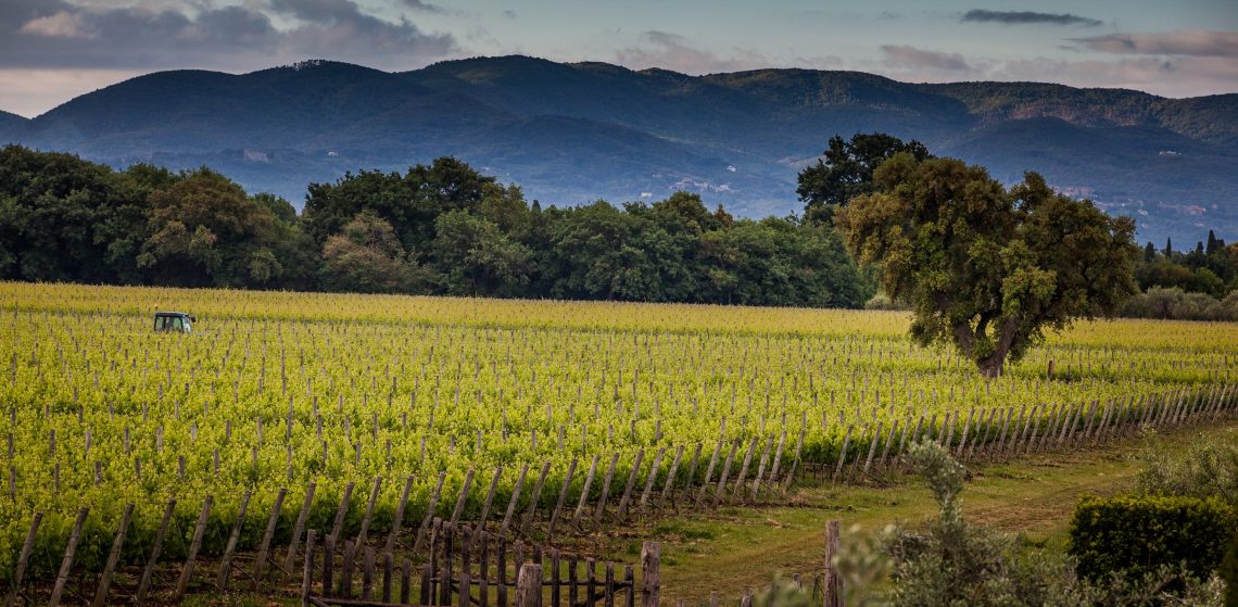 Solosole 2019 - Poggio al Tesoro