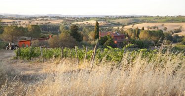 Argentèo 2019 - Podere Casina