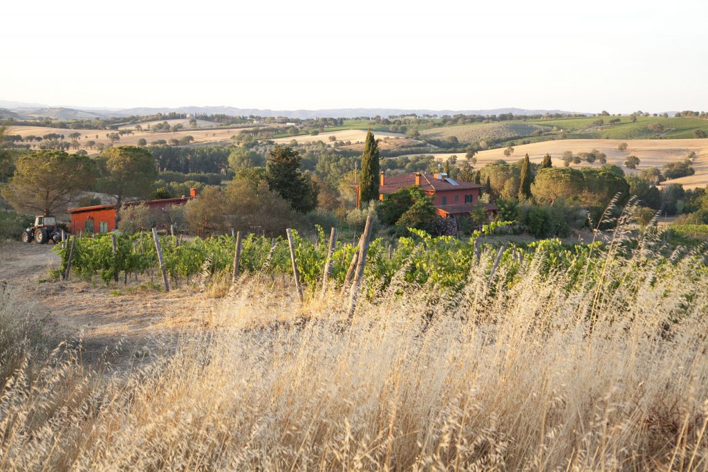 Argentèo 2019 - Podere Casina