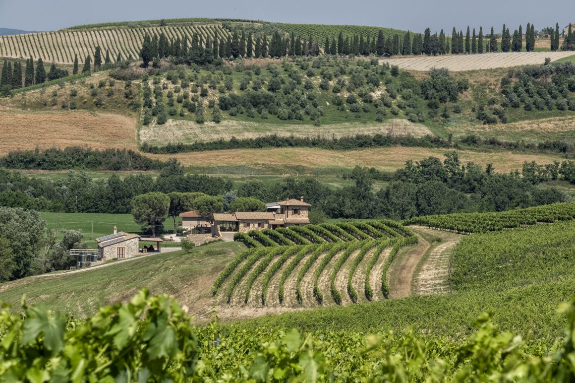 Orcia Sangiovese 2018 - Sasso di Sole