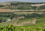 Orcia Sangiovese 2018 - Sasso di Sole