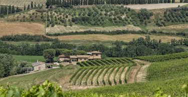 Orcia Sangiovese 2018 - Sasso di Sole