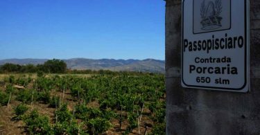 Passobianco 2018 - Passopisciaro