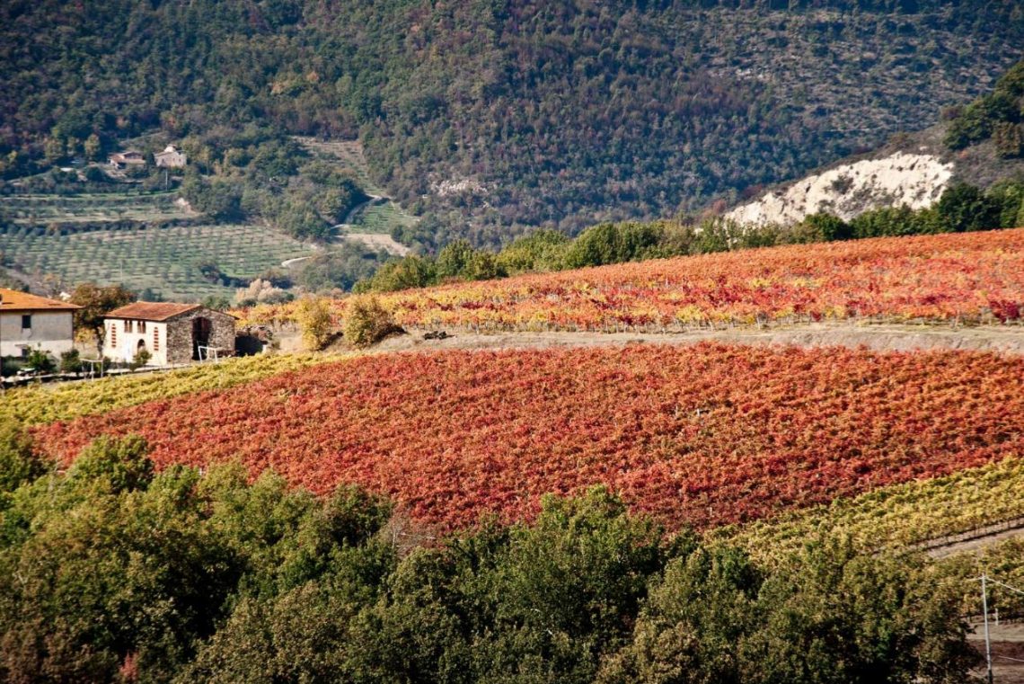 Mazzaferrata 2015 - Marchesi Gondi