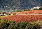 Mazzaferrata 2015 - Marchesi Gondi