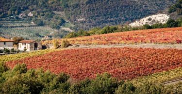 Mazzaferrata 2015 - Marchesi Gondi