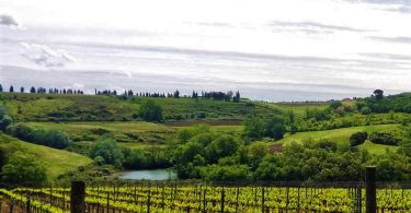 I Macchioni 2019 - Casa alle Vacche